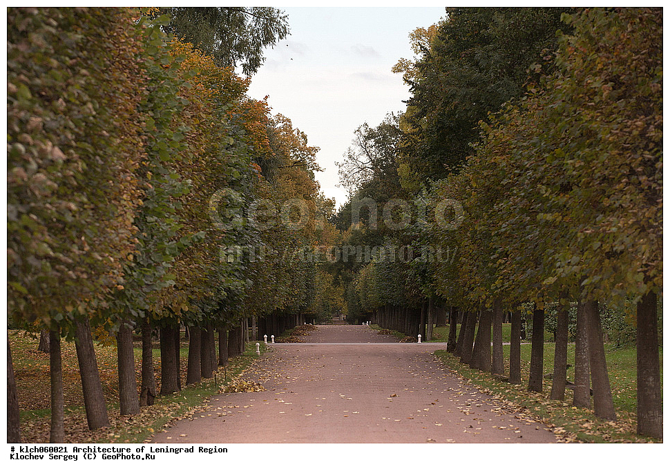 �����������, ������������� ���������, ������������� ��������, ������������� �������, ��������, ������ ����, �����, ������, �������, ��������, �������, �����, ����