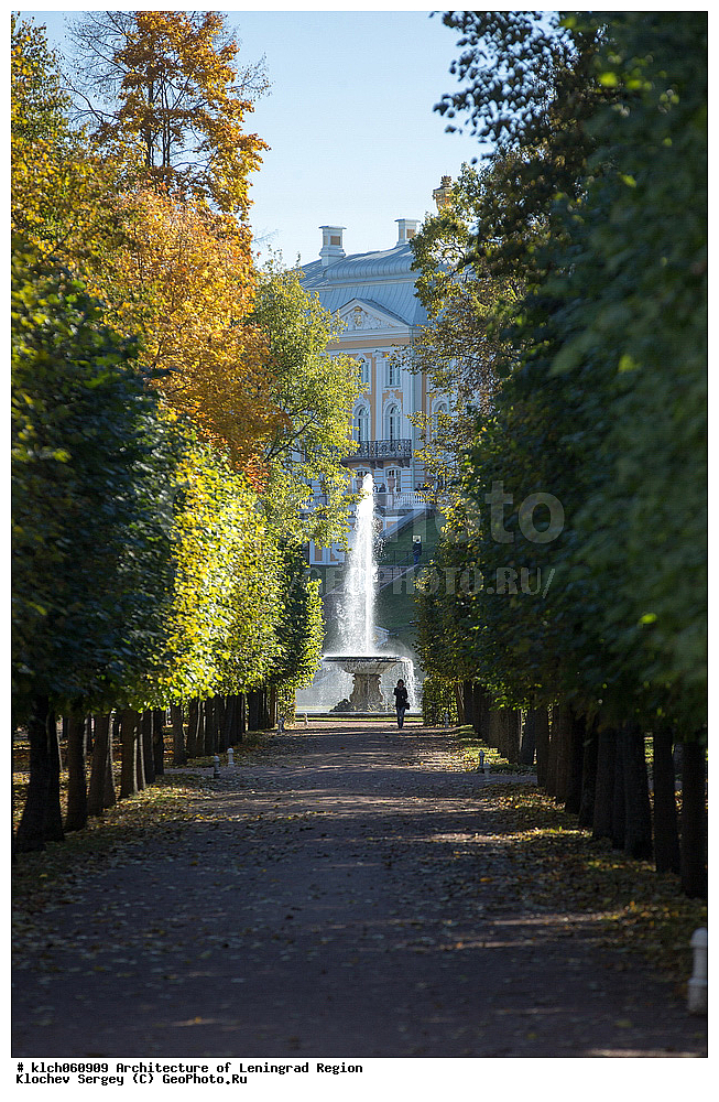 �����������, ������������� ���������, ������������� ��������, ������, �������, ��������, �������, ����� ������������� �������, ��������, ������ ����, �����, ����, ���� 