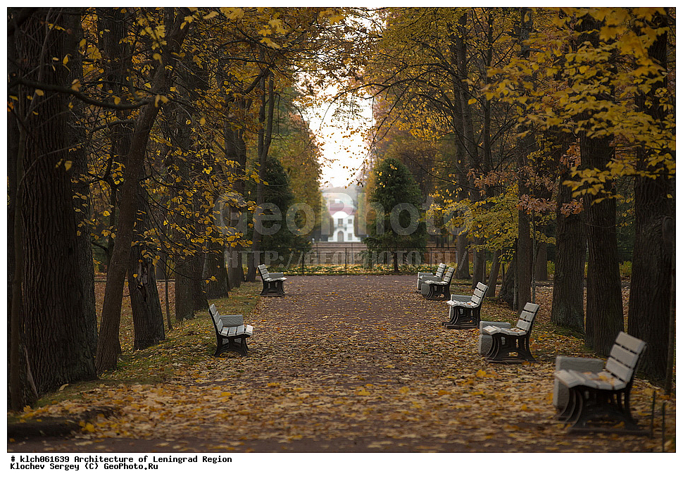 �����������, ������������� ���������, ������������� ��������, ������������� �������, ��������, ������ ����, �����, ��������, ������, �������, ��������, �������