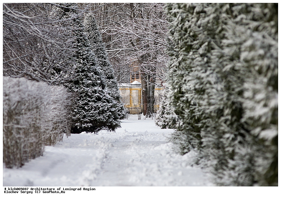 �����������, ������������� ���������, ������������� ��������, ������������� �������, ��������, ������ ����, ����, ����, �����, �������, ����, ����, ��������, �����, ������