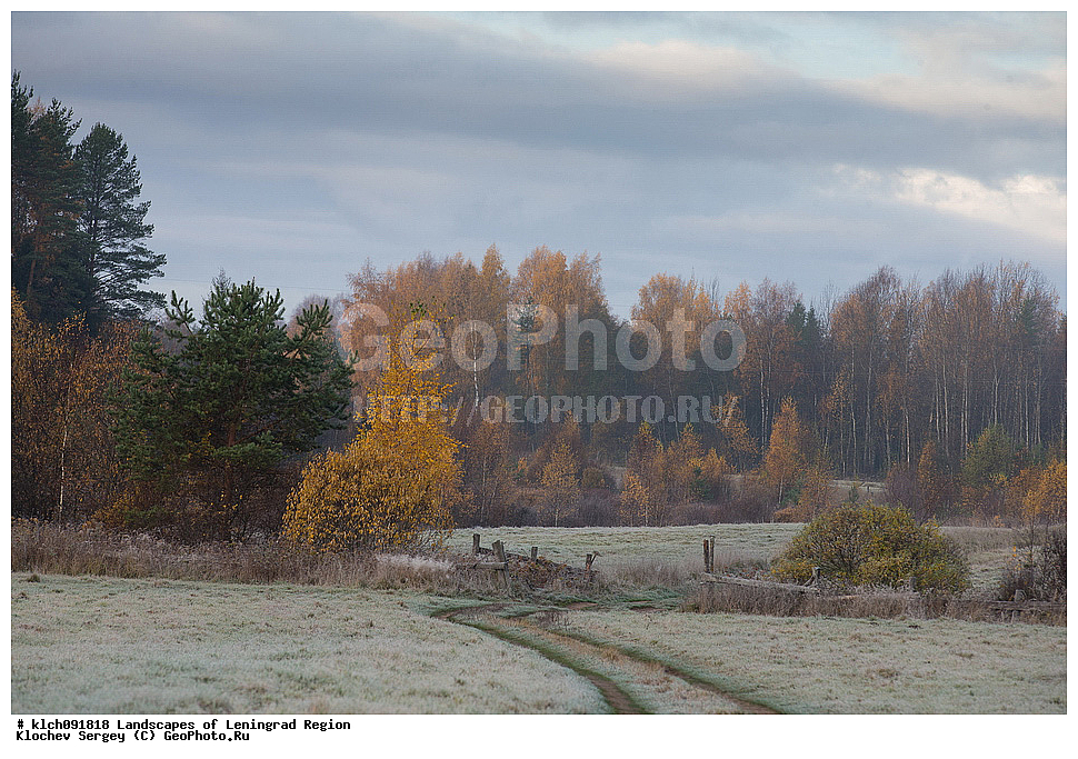 ������������� �������, ��������� �����, ������ ���������, ������� ������, �����, �����, ������