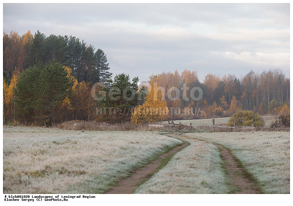 ������������� �������, ��������� �����, ������ ���������, ������� ������, �����, �����, ������