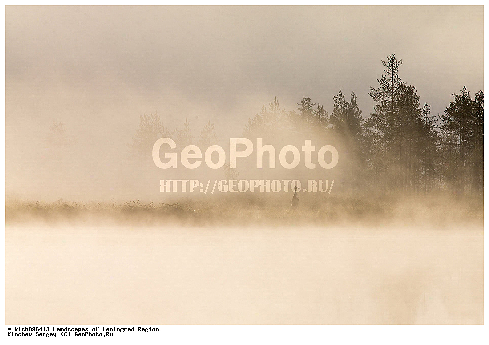 ������������� �������, ��������� �����, ��������� ����, ��������� �����, ������ ������, ����, �����, ������