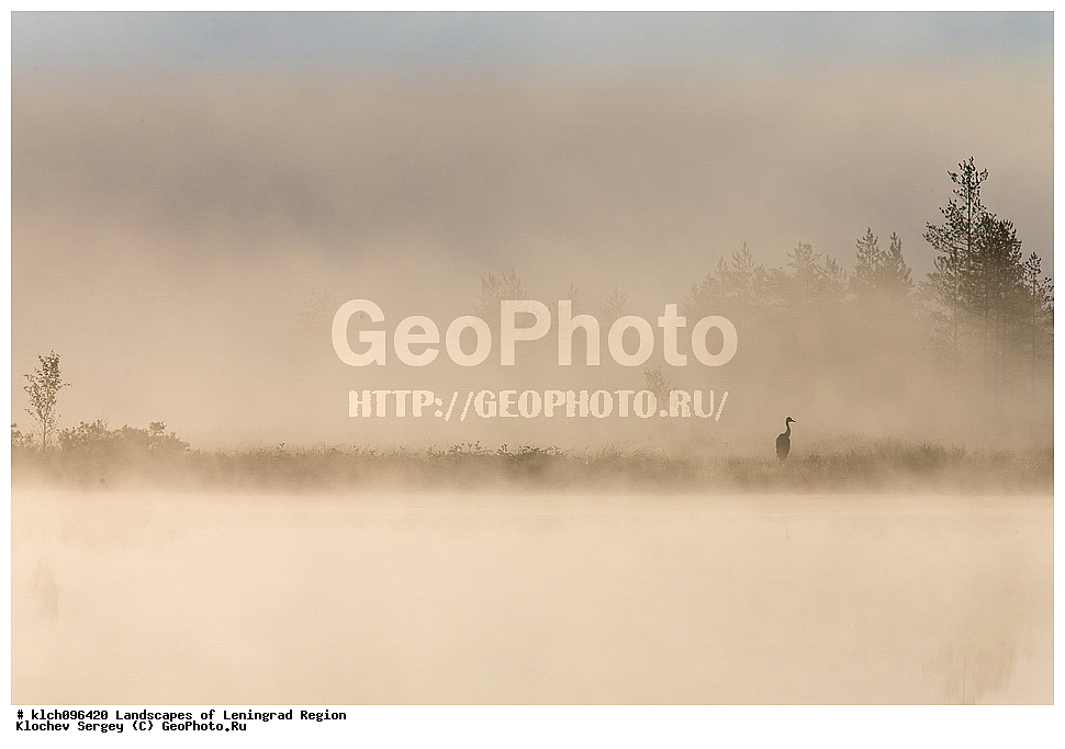 ������������� �������, ��������� �����, ��������� ����, ��������� �����, ������ ������, ����, �����, ������