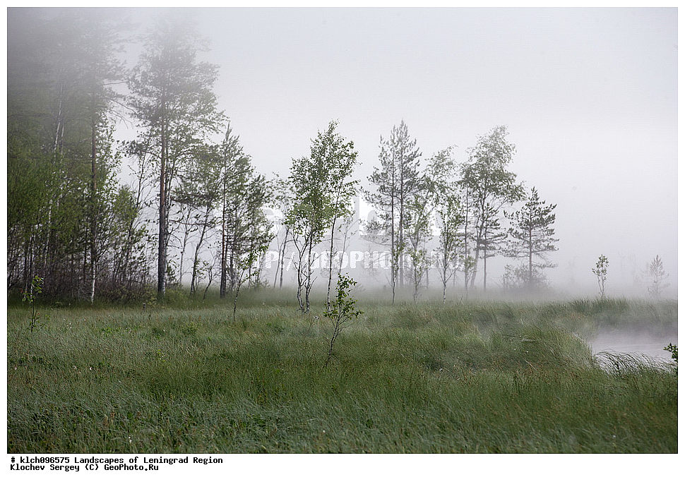 ������������� �������, ��������� �����, ��������� ����, ��������� �����, ������ ������, ����, �����, ������