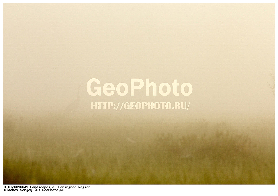 ������������� �������, ��������� �����, ��������� ����, ��������� �����, ������ ������, ����, �����, ������