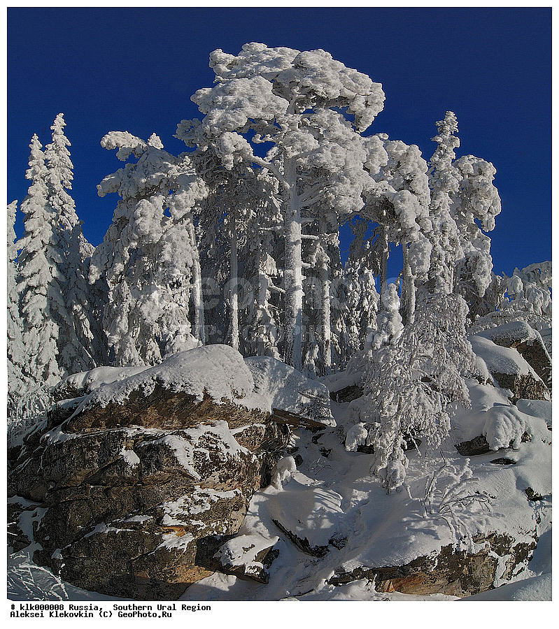 ����, ����, �����������, ����