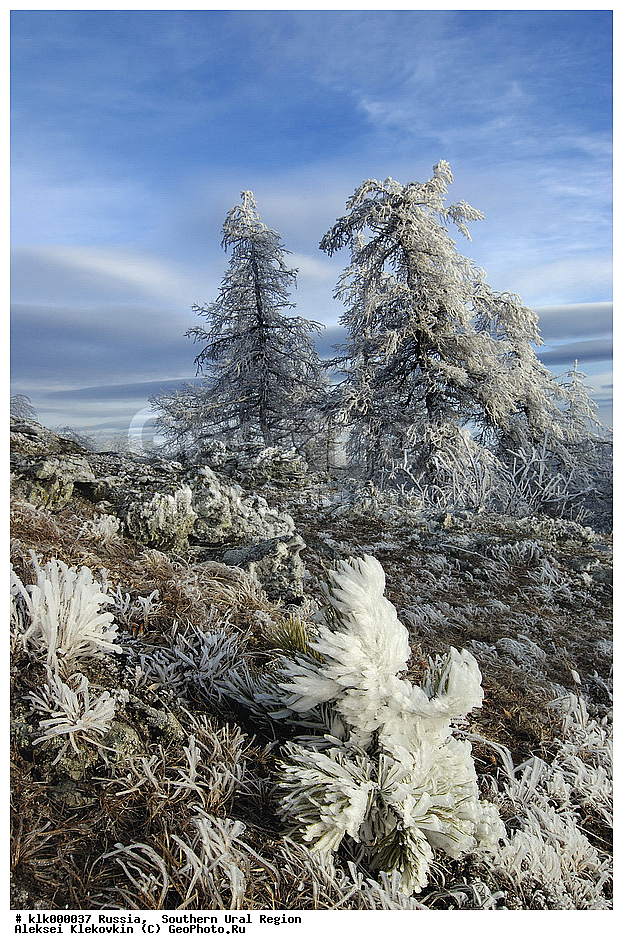 ����, ����, �����������, ����