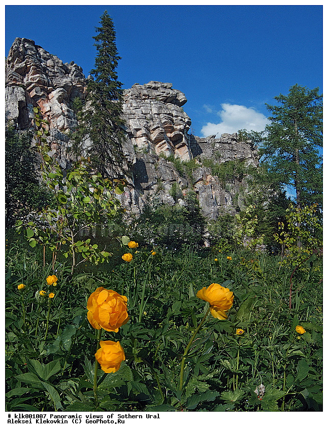 ��������, ����� ����, ����, ������