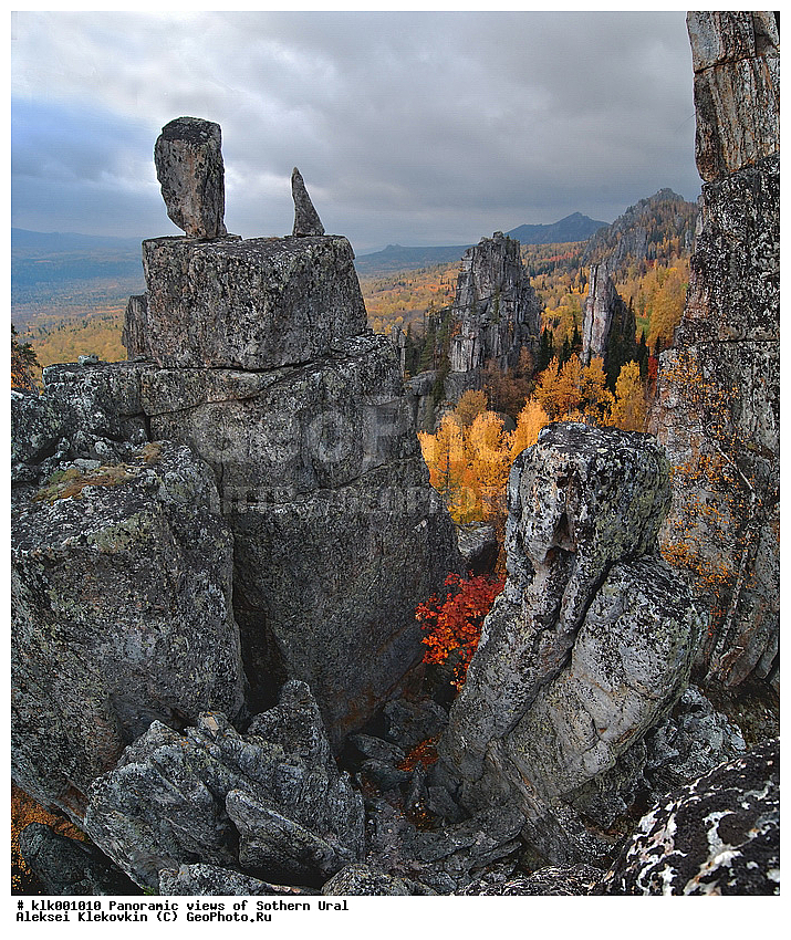 ��������, ����� ����, �����, ������