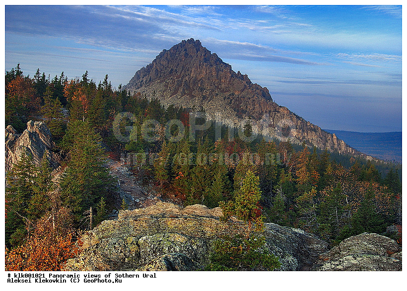 ��������, ����� ����, �����, ������