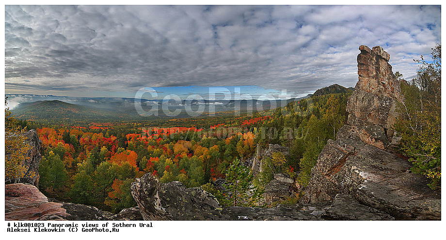 ��������, ����� ����, �����, ������