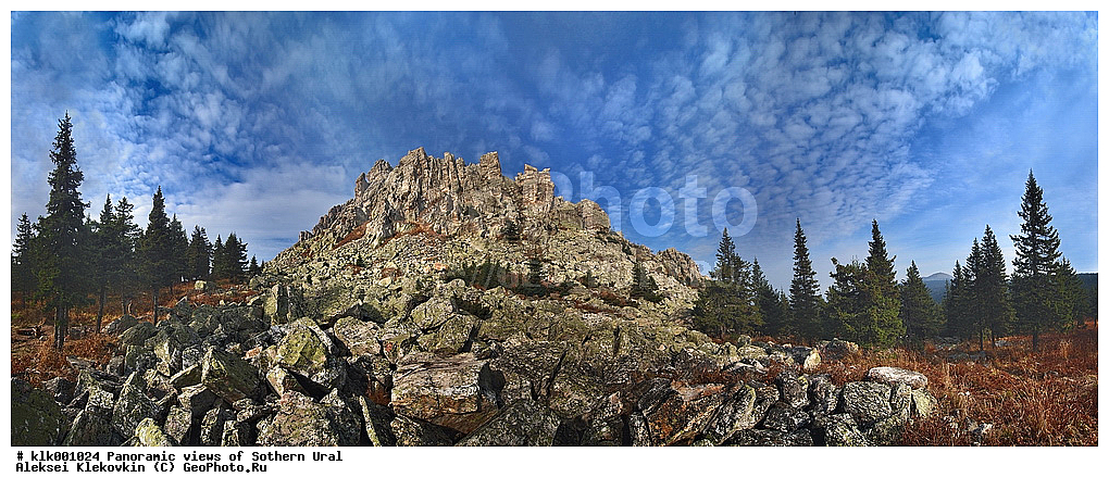 ��������, ����� ����, �����, ������