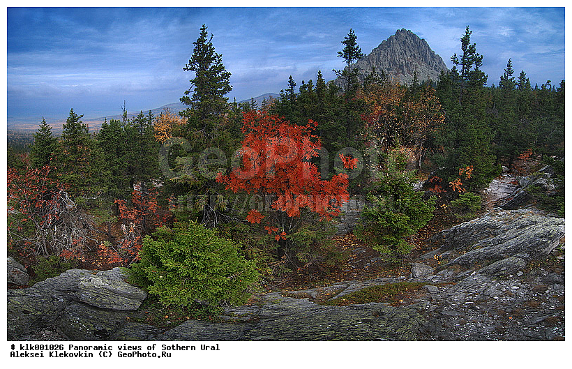 ��������, ����� ����, �����, ������