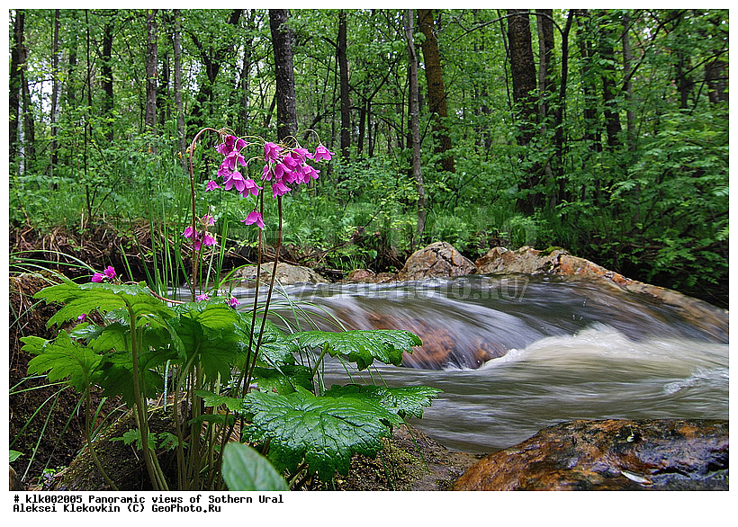 ��������, ����� ����, ����, ������