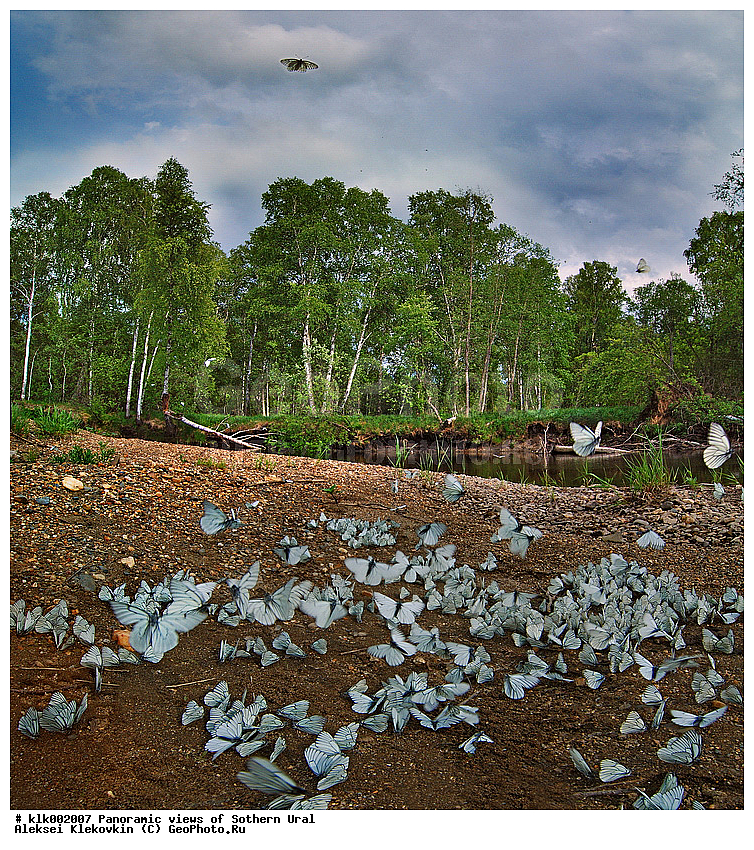 ��������, ����� ����, ����, ������