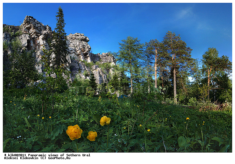 ��������, ����� ����, ����, ������