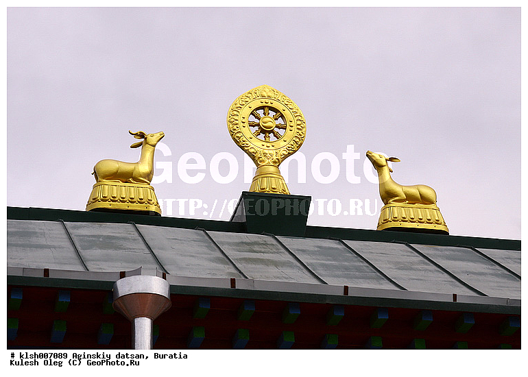 ��������, �������, ����, �����������, �����, ����