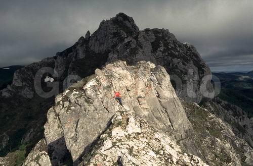 ���� �����, ������, ���������, �������, ����, �����, ��������, �������, ������������� �����