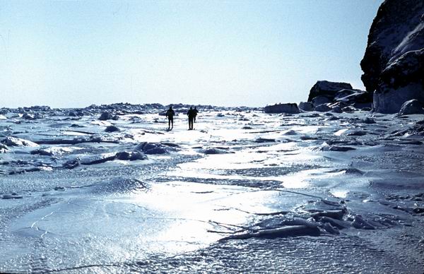 ���, �������� ����, ��������� ��������� ����