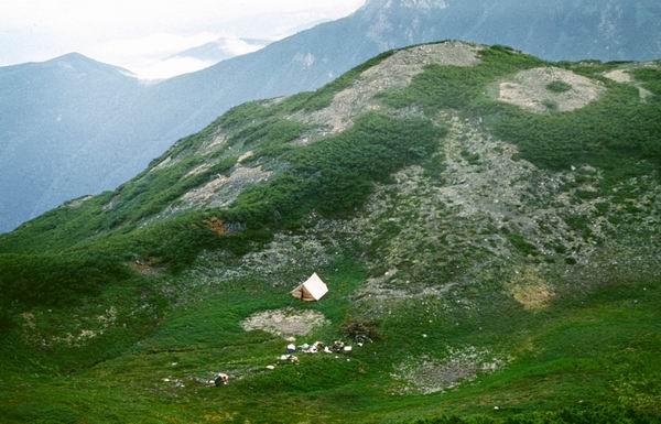 ������ �������� ������ ������� ���� �������, ���������� ������, �������, ����