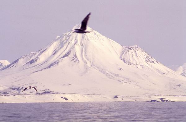 ������� ����� �����, ������ ������, ���������, ������, ������ ���������, ����, ������