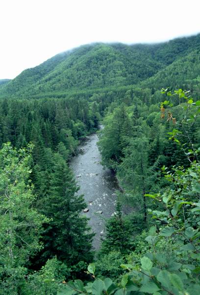 �������, ���������� ������, ���� �������, �������, ������