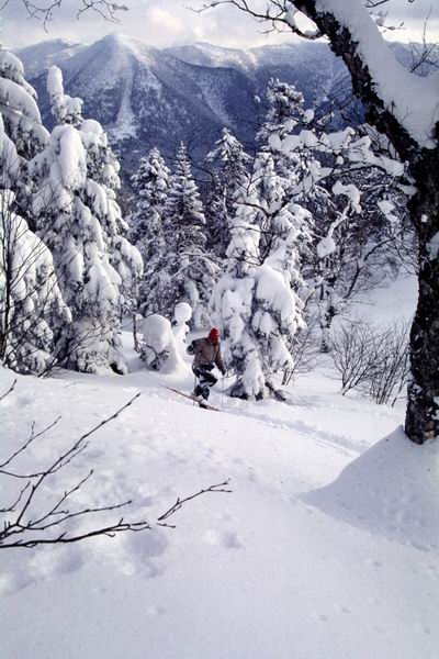 ����, ������ � ������ ����, ����������� ������, ����, ����, ������