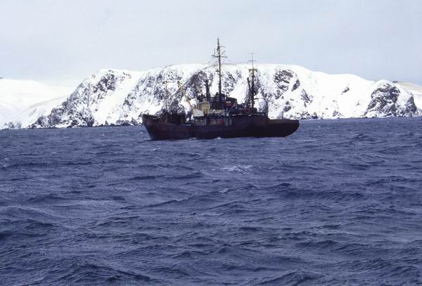 ������, �����, ����� � ������� ��������, �������, ������ �������, ������, �����