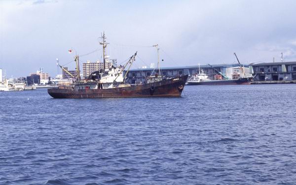 ����, ������, ���������� ���������� ������ � ����� ������, ������, ��������� ����, �����