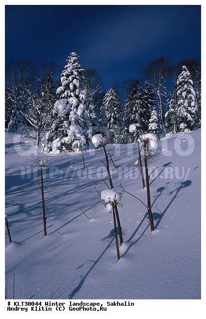 �������, ����, ����, ����������� ����-����������, ������, ����