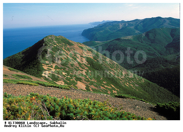 �������, ������