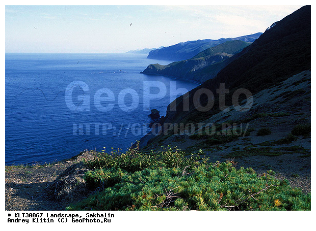 �������, ������