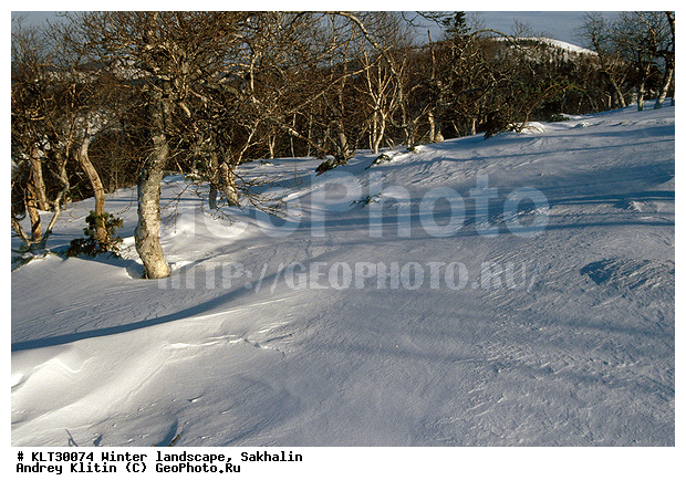 �������, ����, ����������� ����-����������, ������, ����