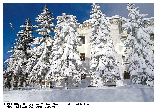 �������, ����-���������, �����, ����, ����