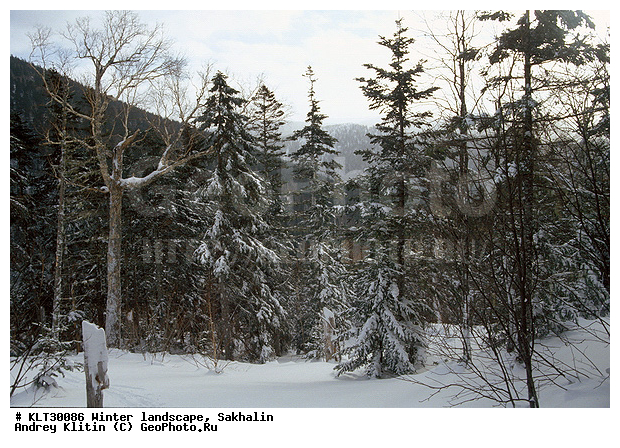 �������, ����, ����, ����������� ����-����������, ������, ����