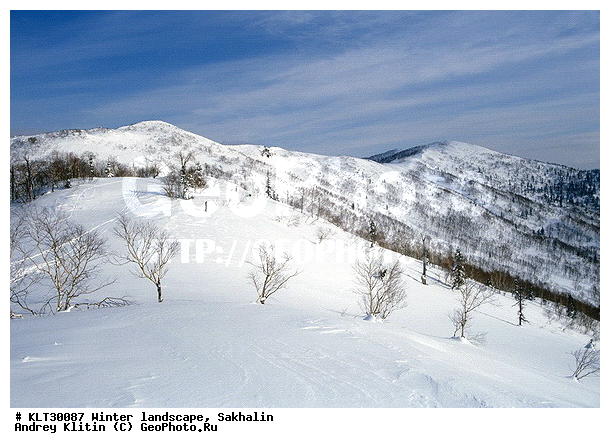 �������, ����, ����, ����������� ����-����������, ������, ����