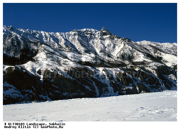 �������, �����, ����� ��������, ����, ����, ������