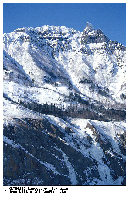 �������, �����, ����� ��������, ����, ����, ������