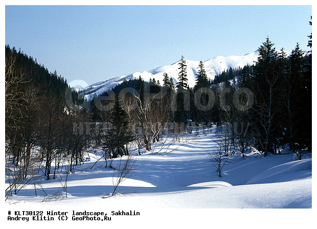 �������, ����, ����, ����������� ����-����������, ������, ����