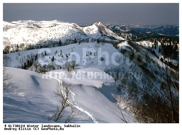 �������, ����, ����, ����������� ����-����������, ������, ����