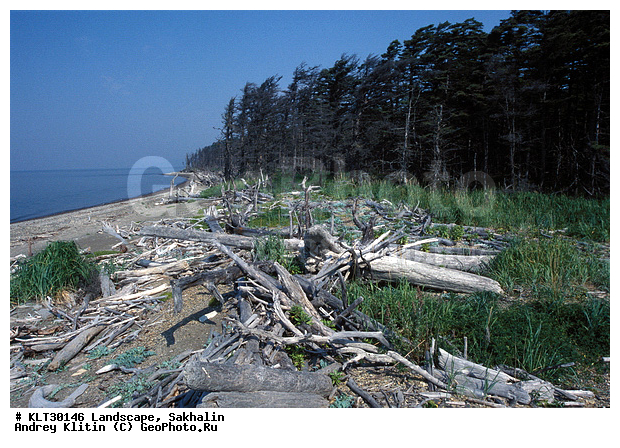 �������, ������