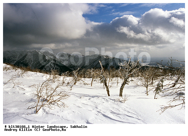 �������, ����, ����, ����������� ����-����������, ������, ����