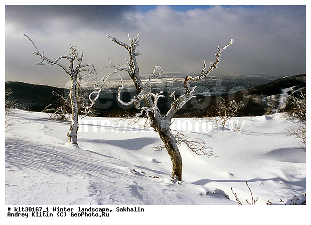 �������, ����, ����, ����������� ����-����������, ������, ����