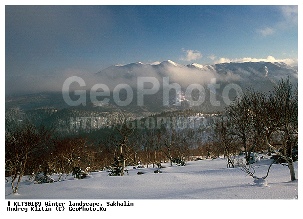 �������, ����, ����, ����������� ����-����������, ������, ����