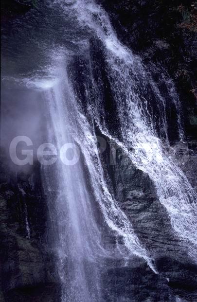 ����, �������, ����, �����