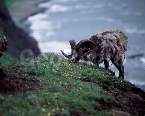 �����, ����, �����, �������������, �����, �������