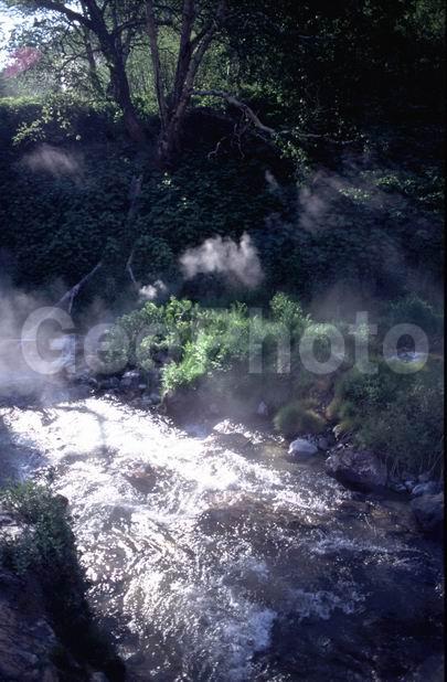 ��������, ������, ��������, ������, ������, �������, ��������, �����, ��������