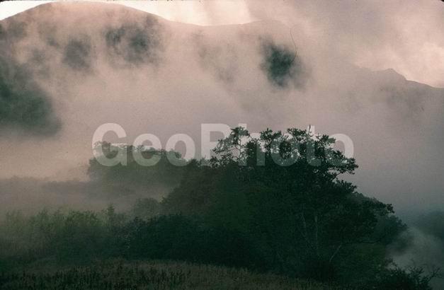 ������, ��������, ������, ��������, ����, ������, ��������, ���, �����, �����, ��������