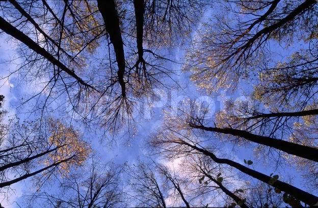 ���������, �������, �������, ������, �����, ������, ������, ����, �������, �����, �����������, ��������